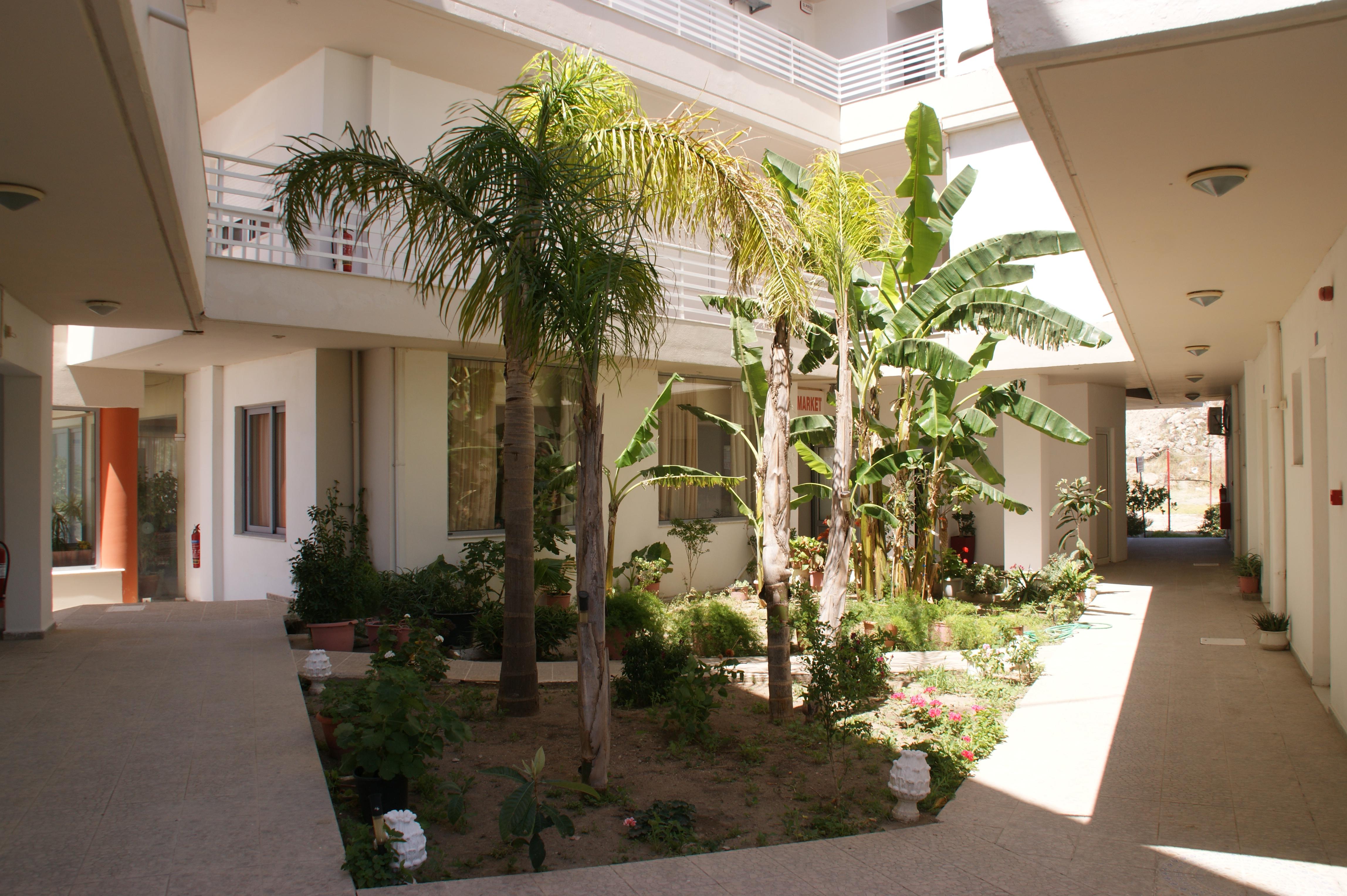 Faliraki Dream Studios & Apartments Eksteriør billede